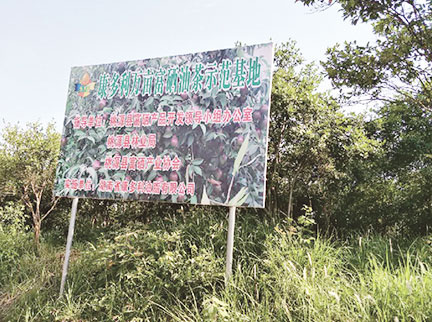 首页-UG全球视讯厅真人官方网站