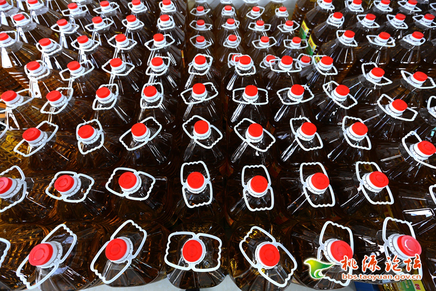 UG环球视讯,油茶种植出产加工销售,植物油种植出产加工销售