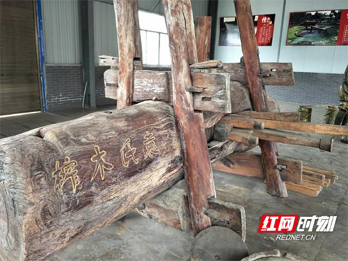 UG环球视讯,油茶种植出产加工销售,植物油种植出产加工销售