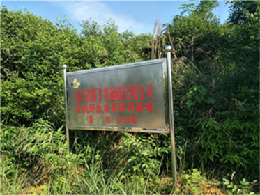 UG环球视讯,油茶种植出产加工销售,植物油种植出产加工销售